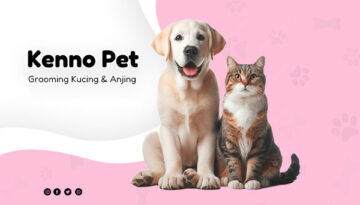 artikel1-kennopetgrooming