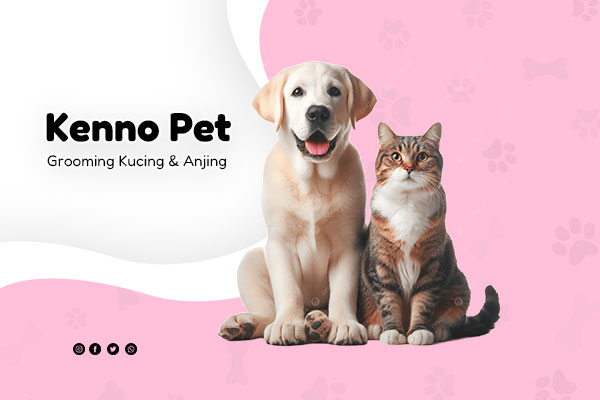 artikel1-kennopetgrooming