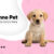 artikel2-kennopetgrooming