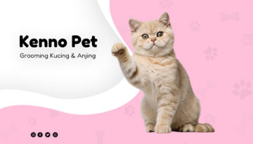 artikel3-kennopetgrooming