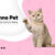 artikel3-kennopetgrooming